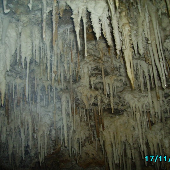 Meet your Posher, Lilyy - Picture 1 of 1